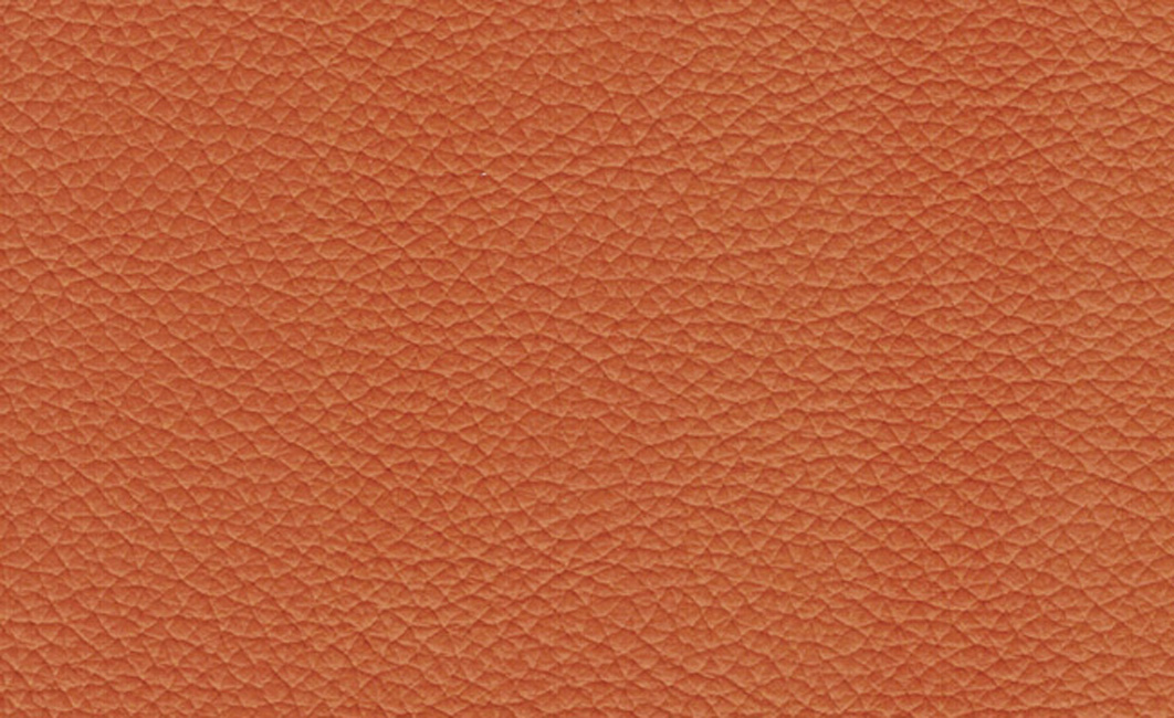 adl-d-coration-s-rie-100-116-cuir-naturel-v-ritable image 1