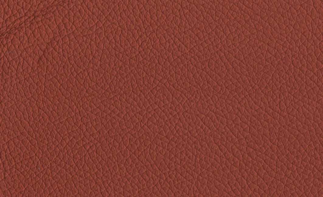 adl-decoration-cuir-naturel-s-rie-100-141-coussin-cuir image 1