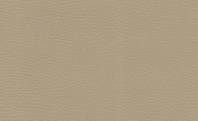 adl-d-coration-sable-coussin-microfibre-beige image 1