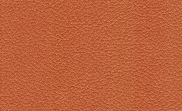 adl-d-coration-s-rie-100-116-cuir-naturel-v-ritable image 1
