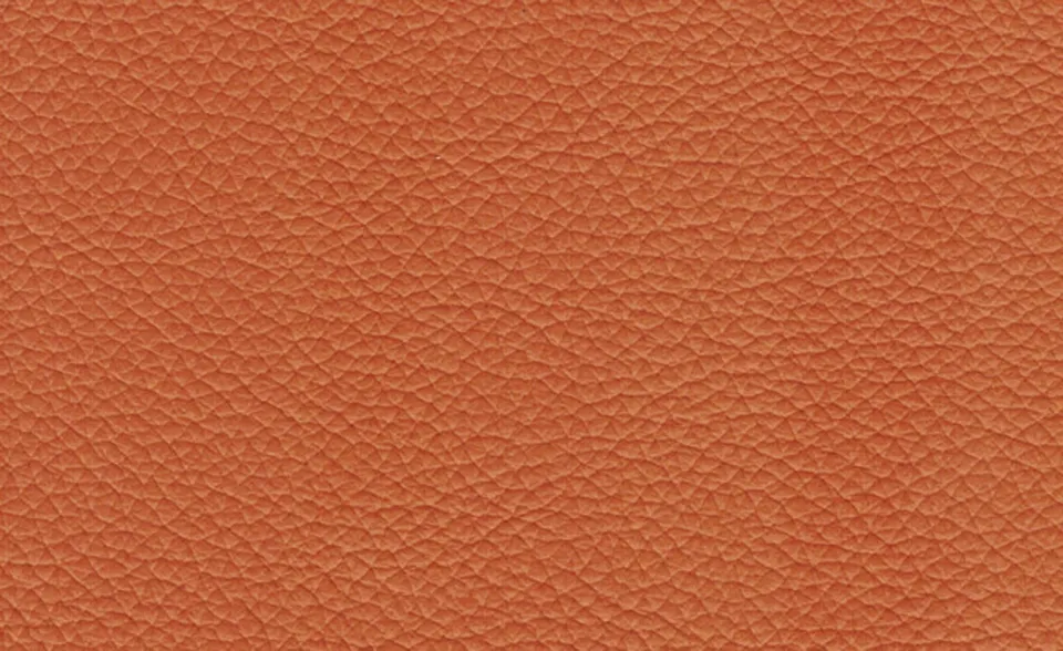 adl-d-coration-s-rie-100-116-cuir-naturel-v-ritable image 1