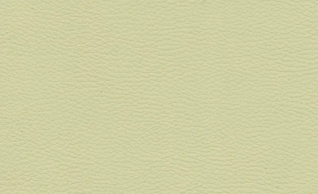 adl-d-coration-cr-me-coussin-microfibre-beige image 1