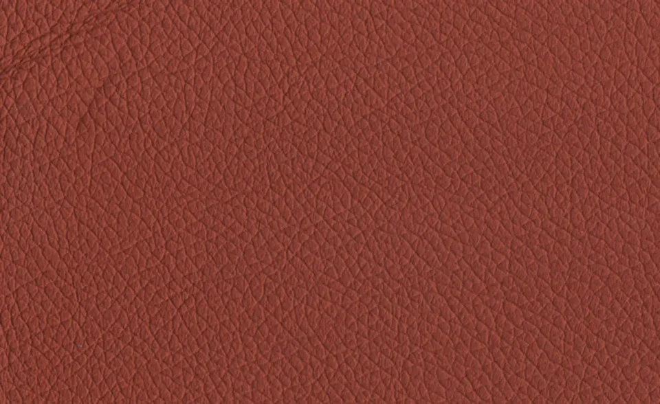 adl-decoration-cuir-naturel-s-rie-100-141-coussin-cuir image 1