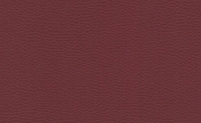 adl-d-coration-bordeaux-coussin-microfibre-rouge image 1