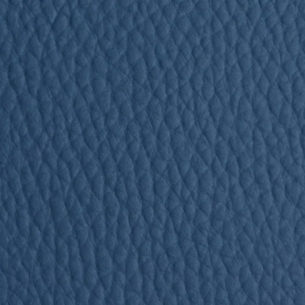 adl-d-coration-gros-grain-bleu-coussin-simili-cuir image 1