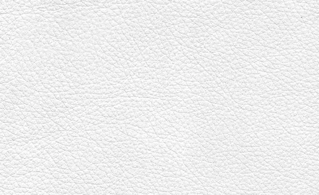 adl-d-coration-microfibre-coussin-microfibre-blanc image 1