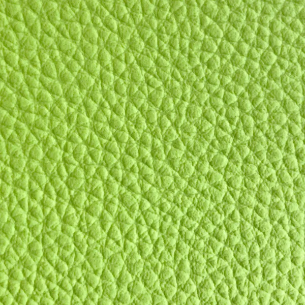 adl-d-coration-coussins-simili-cuir-gros-grain-coussin-pomme image 1