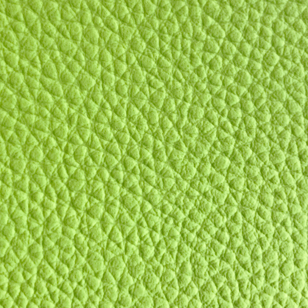 adl-decoration-gros-grain-pomme-coussin-simili-cuir-vert image 1